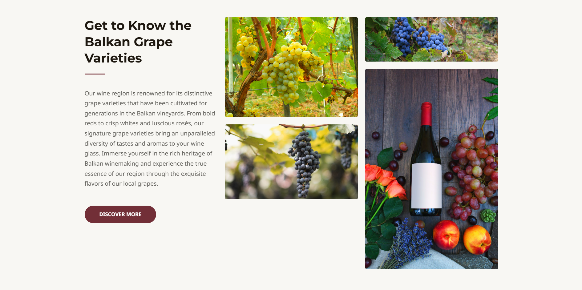 Balkan Wines screenshot 2